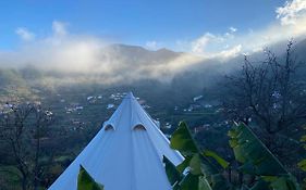 The Orchard Retreat